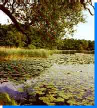 le lac